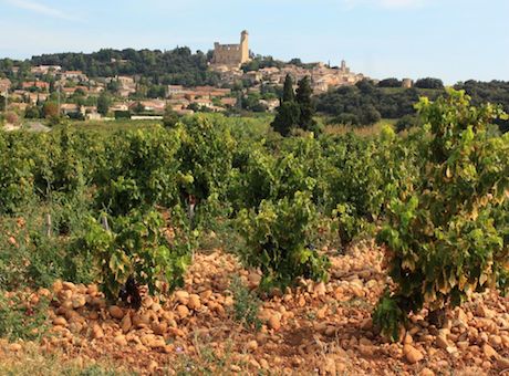 Campsite France Provence